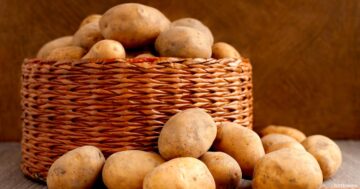 طرق تخزين البطاطس في المنزل من سنه للسنه من غير ما يتغير لونها