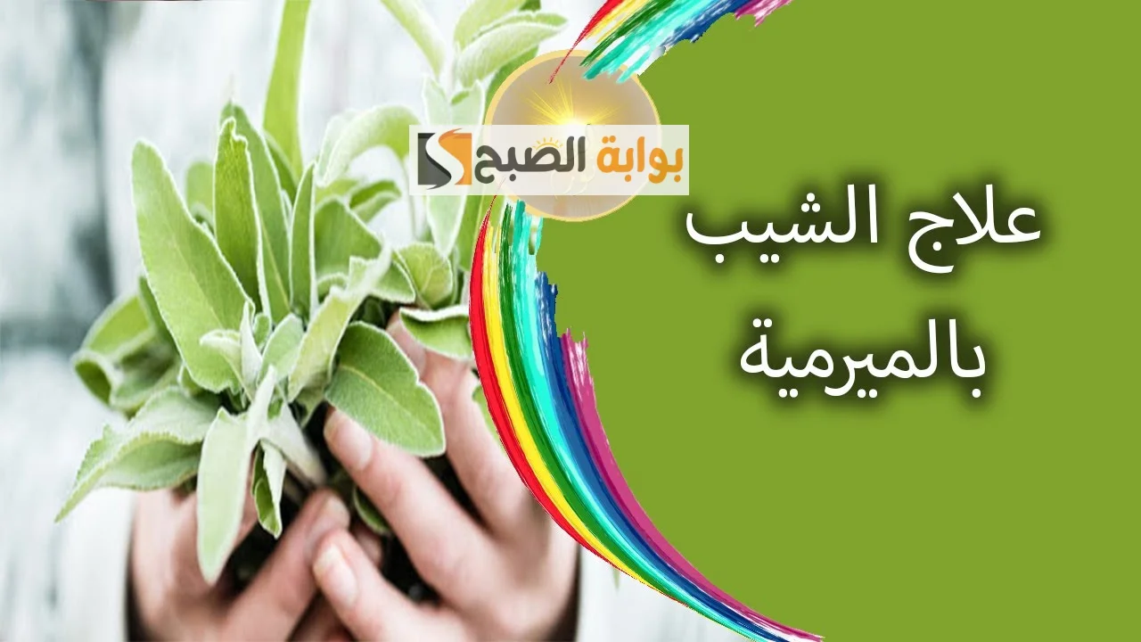 إدهني هذا الماسك على شعرك لإزالة الشعر الأبيض "وصفة جدتي البدوية" 5 إدهني هذا الماسك على شعرك لإزالة الشعر الأبيض “وصفة جدتي البدوية”