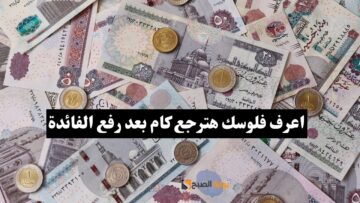 اعرف فلوسك هترجع كام.. 4 بنوك مصرية ترفع سعر الفائدة (التفاصيل)