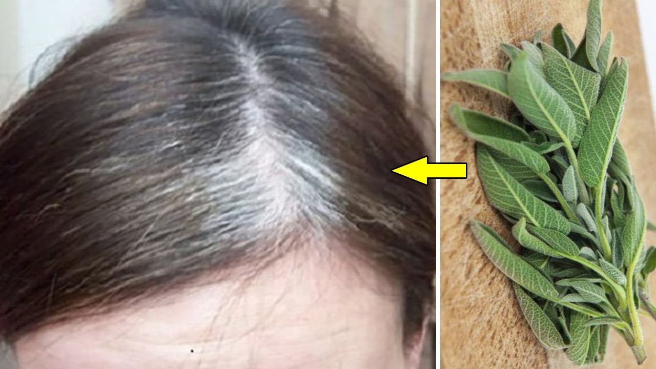 وداعاً للشيب! وداعاً لكبر السن! استعيدي شبابك في دقائق مع هذه العشبة السحرية!