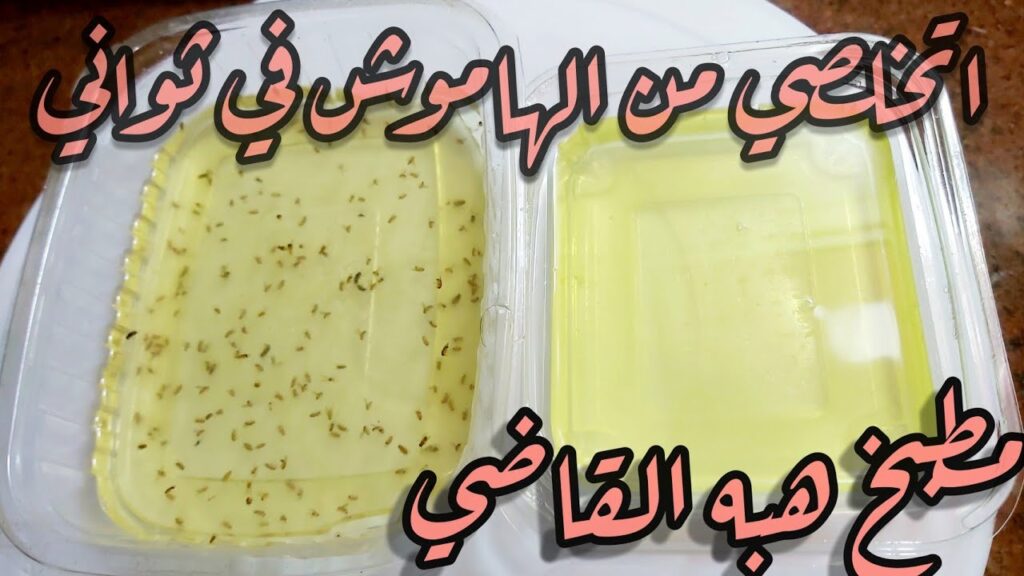 اقوي من المبيدات.. مكون عبقري للقضاء على الناموس والهاموش في ثواني هيهرب من منزلك بدون رجوع 5 اقوي من المبيدات.. مكون عبقري للقضاء على الناموس والهاموش في ثواني هيهرب من منزلك بدون رجوع