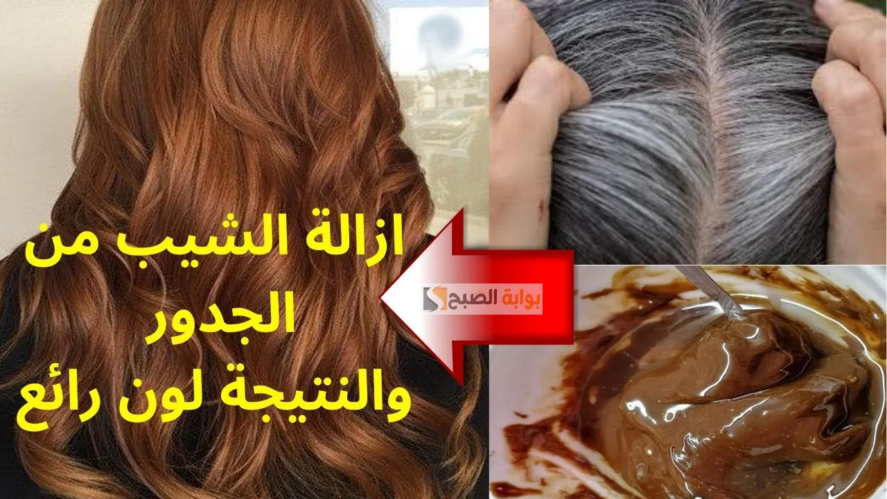 خلطتي الجبارة والصاروخية من الطماطم للتخلص من شيب الشعر نهائيا “هيرجع أسود ليل”