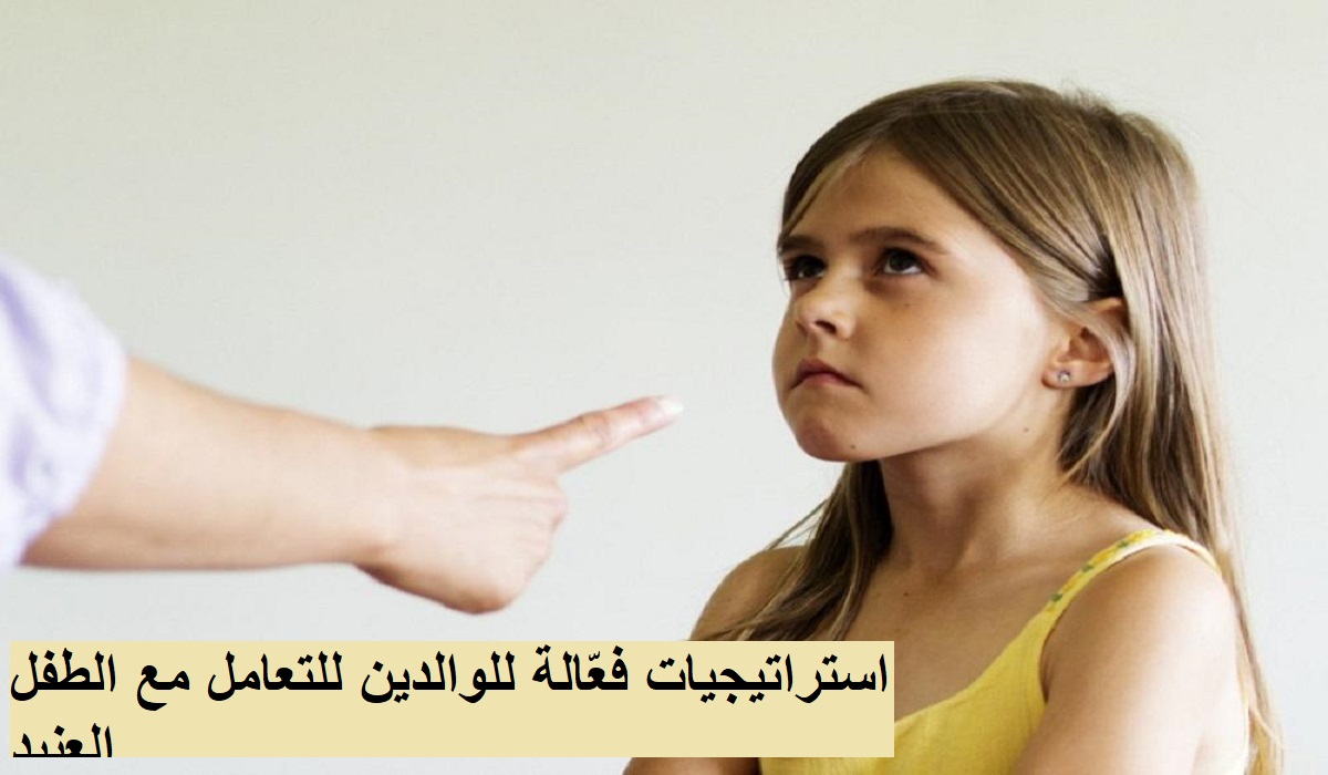 5 استراتيجيات فعّالة للوالدين للتعامل مع الطفل العنيد
