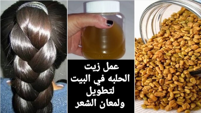 وصفة زيت الحلبة لتطويل الشعر.. ارمي الحلبة في الزيت المغلي وادعيلي 5 وصفة زيت الحلبة لتطويل الشعر.. ارمي الحلبة في الزيت المغلي وادعيلي