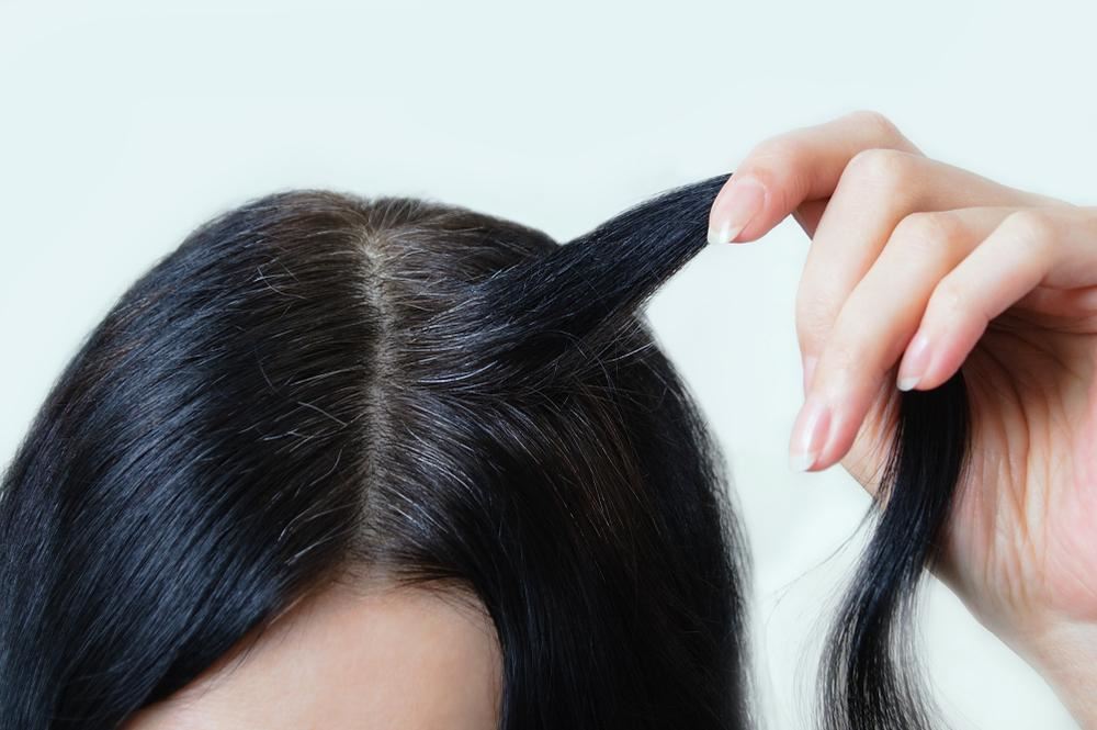 طرق علاج الشيب بالأعشاب والقضاء علي الشعر الأبيض نهائياً