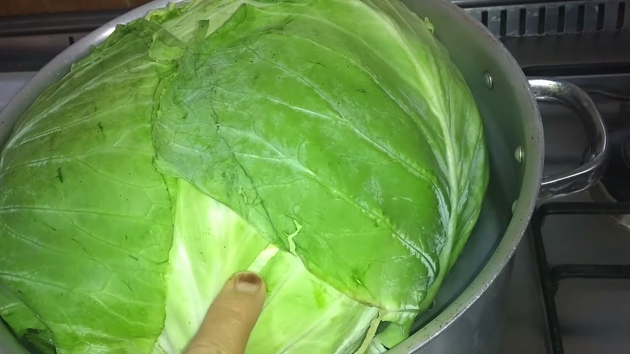 تخزين الكرنب البلدي لرمضان بالطريقة الصحيحة بدون ما يجلد أو يتغير لونه أو طعمه .. اعرفي الطريقة