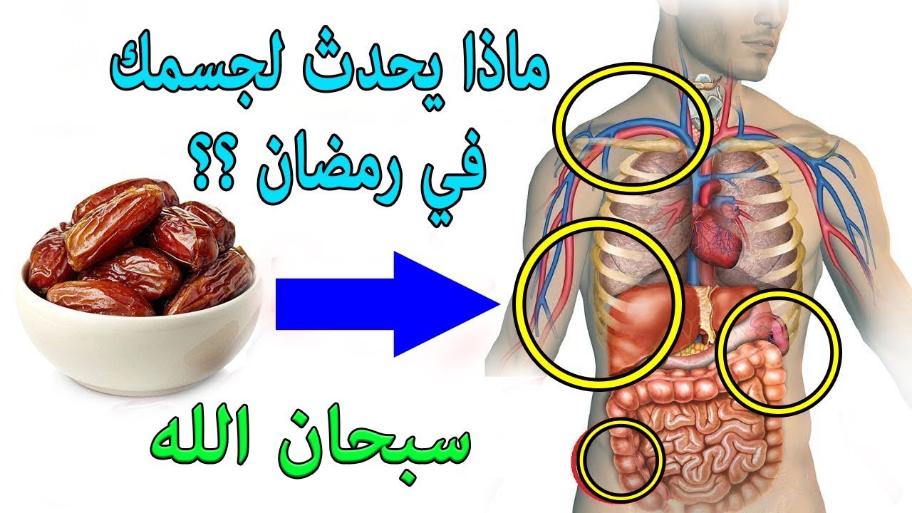 قبل قدوم شهر رمضان .. ماذا يحدث للجسم عند الصيام؟ لن تتخيل الفوائد 5 قبل قدوم شهر رمضان .. ماذا يحدث للجسم عند الصيام؟ لن تتخيل الفوائد