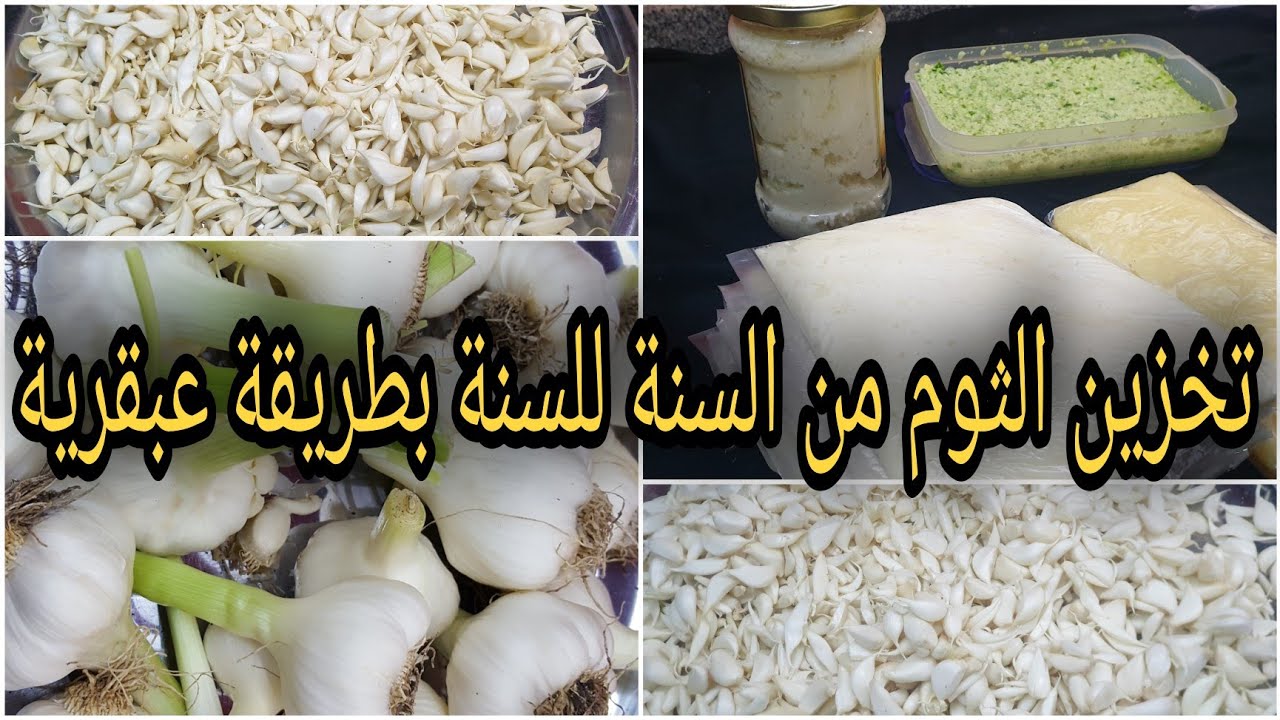 أسرار تخزين الثوم في الفر يزر لعام كامل بدون تغيير اللون مع الاحتفاظ بالرائحة الفريش 5 أسرار تخزين الثوم في الفر يزر لعام كامل بدون تغيير اللون مع الاحتفاظ بالرائحة الفريش