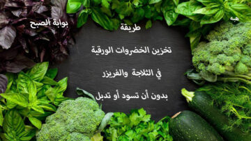طريقة تخزين الخضروات الورقية في الثلاجة والفريزر بدون ما تسود ولا تدبل