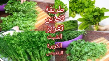 هتخزني الشبت والبقدونس والكزبرة بسهولة.. وهتفضل طازجة لشهر واكتر في الثلاجة
