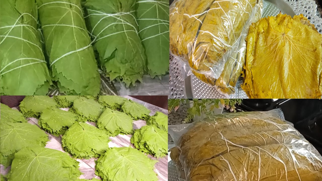 قبل رمضان.. تخزين ورق العنب والكرنب بسرعة الصاروخ بدون مجهود من النهاردة مش هتشيلى هم بطريقة مضمونة بدون مايجلد ولا يتغير لونة او طعمة