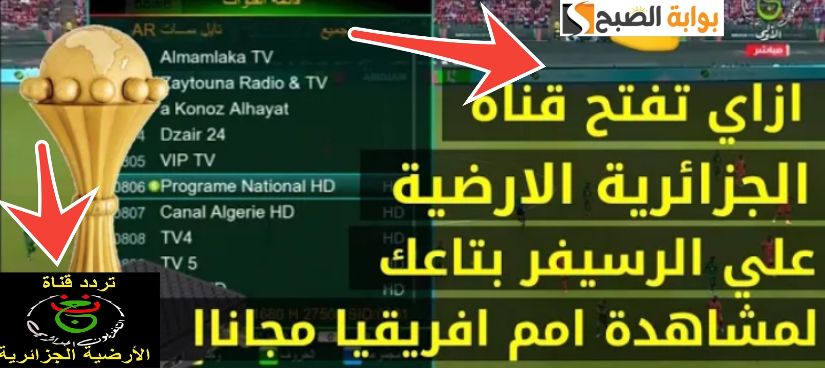 تردد قناة الجزائرية الأرضية لمشاهدة نهائي افريقيا نيجيريا وكوت ديفوار 2024