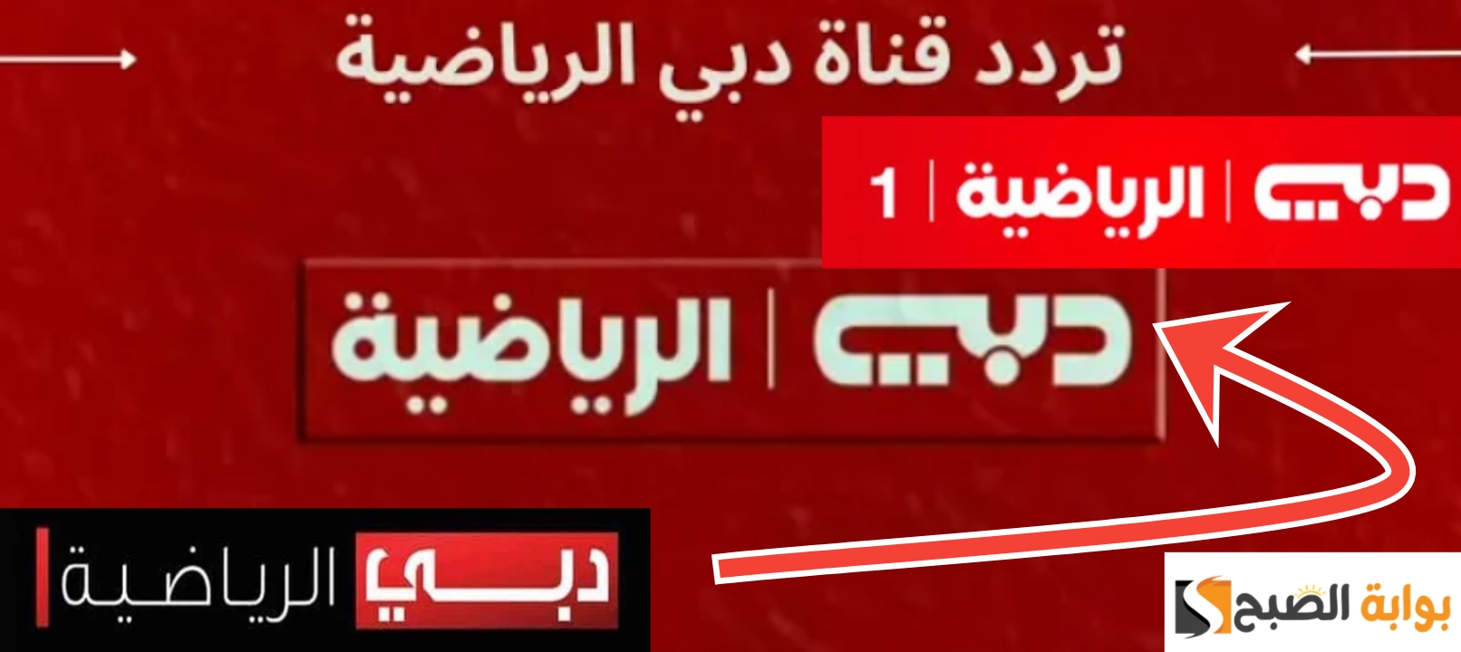 تردد قناة دبي الرياضية 2024 Dubai sports لمشاهدة أهم المباريات مجاناً 5 تردد قناة دبي الرياضية 2024 Dubai sports لمشاهدة أهم المباريات مجاناً