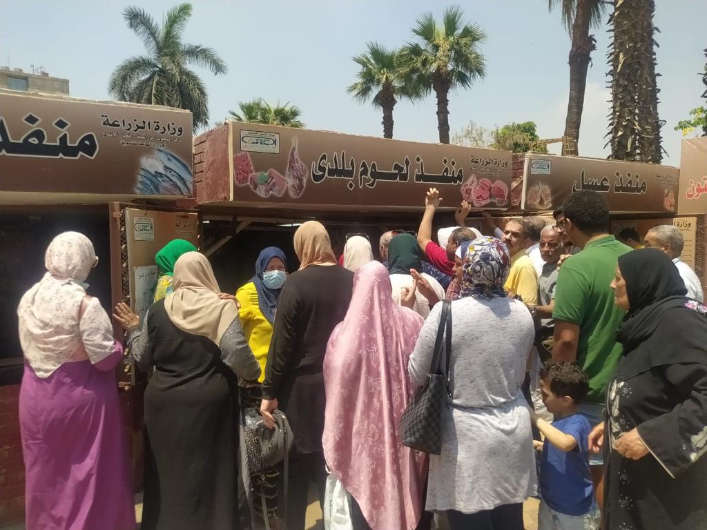 استعدادًا لشهر رمضان.. الزراعة تطرح لحومًا بلدية بأسعار مخفضة