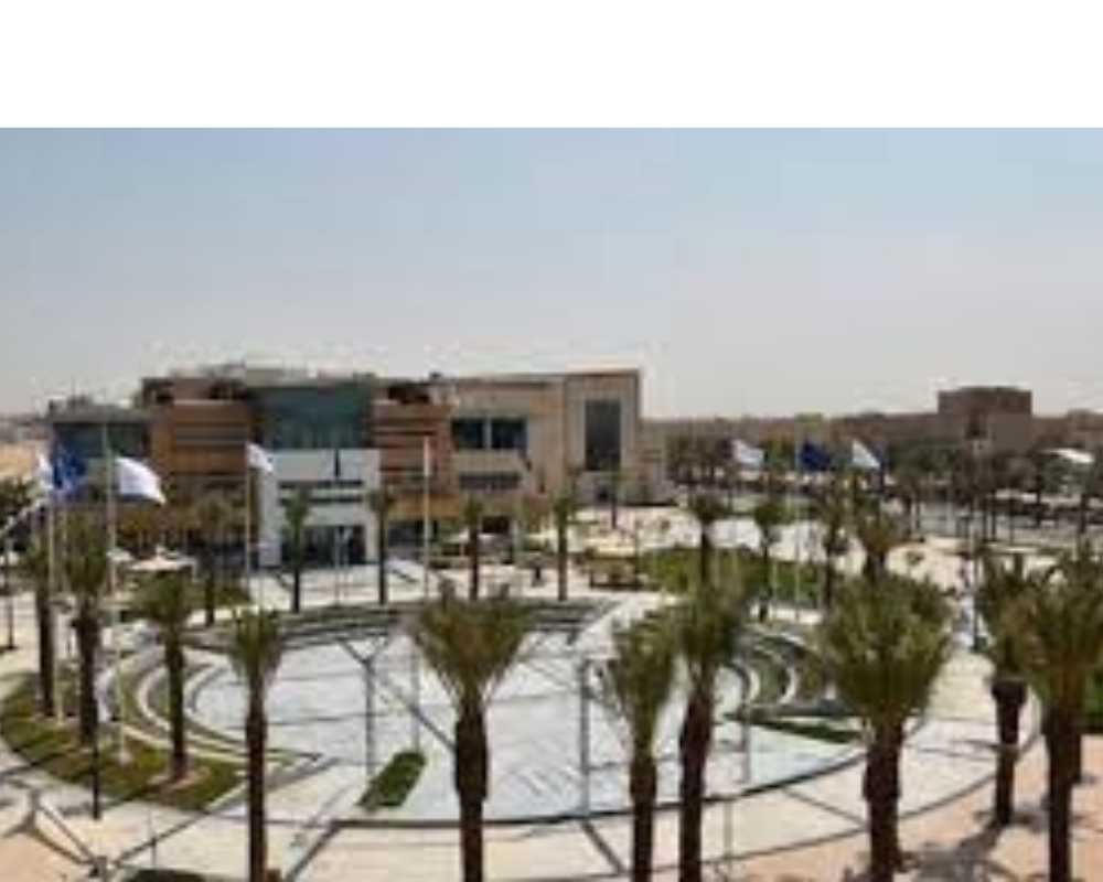 جامعة الامير سلطان «اجازة الطلاب خلال شهر رمضان» تعرف التفاصيل 5 جامعة الامير سلطان «اجازة الطلاب خلال شهر رمضان» تعرف التفاصيل