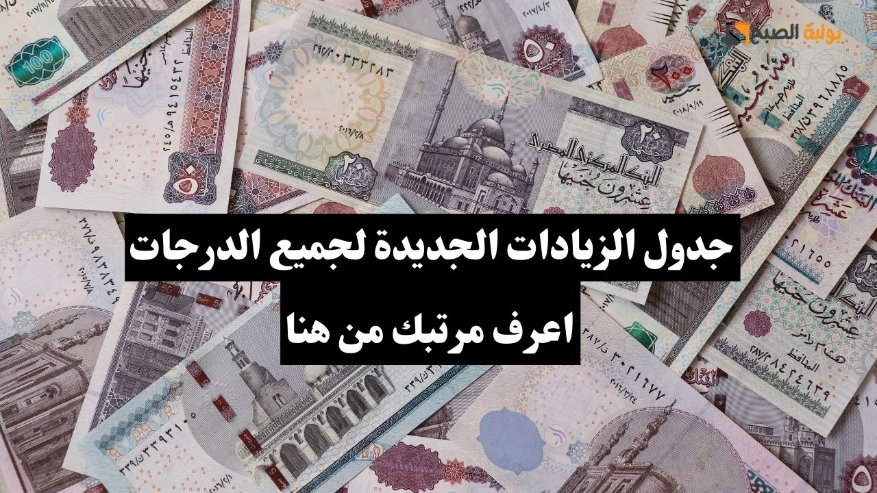 جدول الزيادات الجديدة لجميع موظفي الدولة.. اعرف مرتبك من هنا