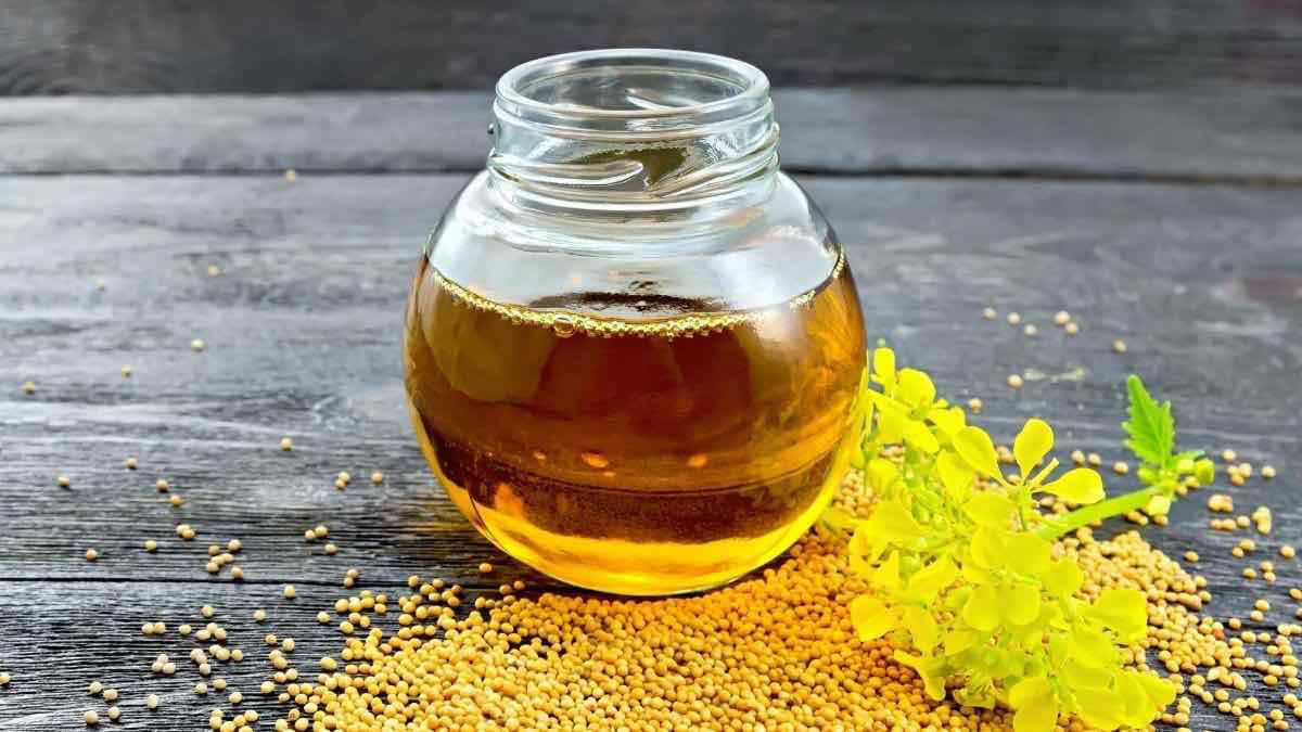 أهمها تطويل وترطيب الشعر .. فوائد زيت الخردل للشعر عديدة تعرف عليها الآن 5 أهمها تطويل وترطيب الشعر .. فوائد زيت الخردل للشعر عديدة تعرف عليها الآن
