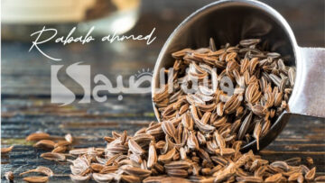 سعر كيلو الكمون اليوم في مصر يصل لـ500 جنيه في الأسواق والمحلات