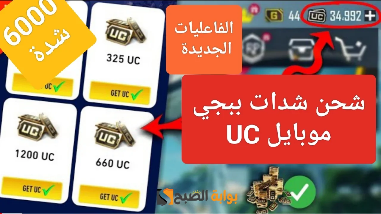 "6000 شدة" شحن شداد ببجي 24 بطريقة مضمونة عن طريق الID 5 “6000 شدة” شحن شداد ببجي 24 بطريقة مضمونة عن طريق الID