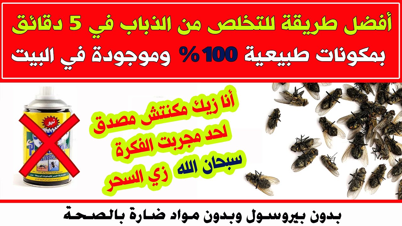 “انسي انك تشوفيهم تاني”.. حيلة ذكية للتخلص من الهاموش والذباب من منزلك نهائيا
