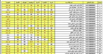 “رابط رسمي” لينك نتائج الصف الثالث المتوسط 2024 تمهيدي العراق عموم المحافظات