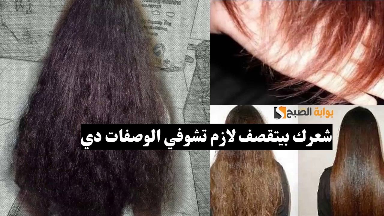 لو شعرك بيتقصف فعلاجك هنا بوصفات طبيعية وداخل كل بيت جربي مش هتندمي