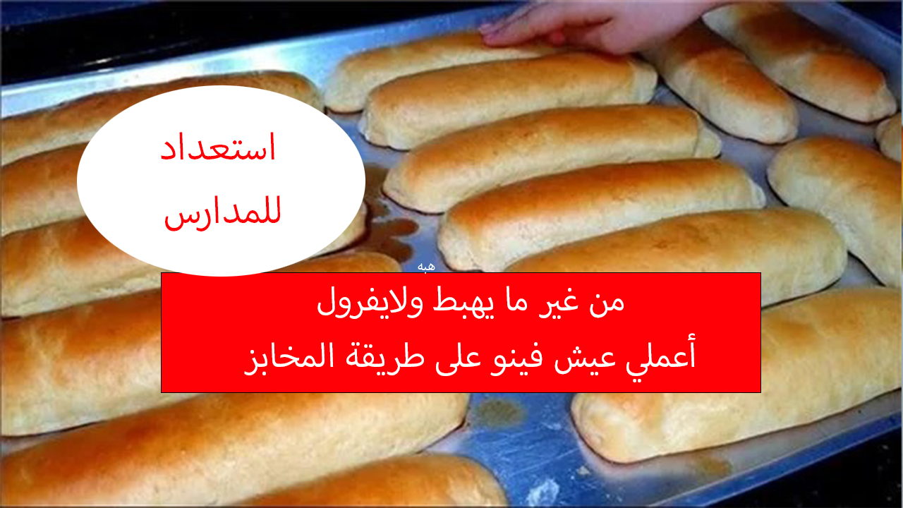 حضري نفسك للمدرسة الصبح وجهزي عيش فينو بأقل تكلفة من غير ما يفرول ولا يهبط 5 حضري نفسك للمدرسة الصبح وجهزي عيش فينو بأقل تكلفة من غير ما يفرول ولا يهبط