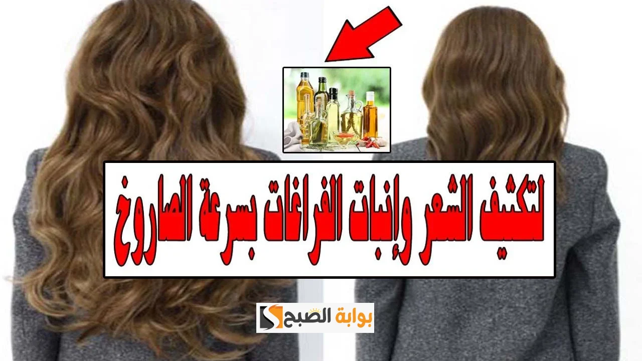 قناع الزعتر البري مع الحلبة لتطويل وكثافة الشعر هيجيب من الآخر جربيه دلوقتي 5 قناع الزعتر البري مع الحلبة لتطويل وكثافة الشعر هيجيب من الآخر جربيه دلوقتي