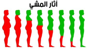 ماذا يحدث لجسمك بعد المشي لمدة ساعة يوميًا؟ فوائد صحية مذهلة