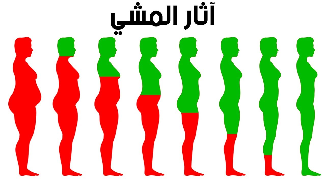 ماذا يحدث لجسمك بعد المشي لمدة ساعة يوميًا؟ فوائد صحية مذهلة 5 ماذا يحدث لجسمك بعد المشي لمدة ساعة يوميًا؟ فوائد صحية مذهلة