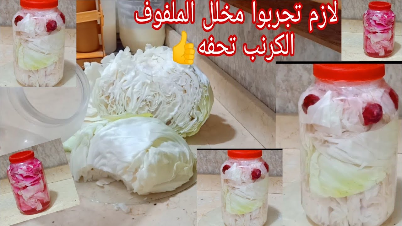 طريقة سهلة لاستعمال الكرنب فاتح شهية مخلل الملفوف السريع بطريقة صحية 5 طريقة سهلة لاستعمال الكرنب فاتح شهية مخلل الملفوف السريع بطريقة صحية