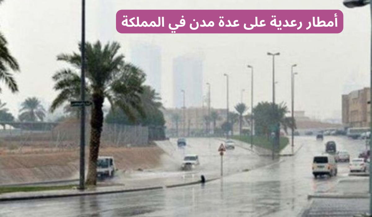 "الأرصاد الجوية" طقس السبت أمطار رعدية مع رياح قوية في العديد من المناطق 5 “الأرصاد الجوية” طقس السبت أمطار رعدية مع رياح قوية في العديد من المناطق
