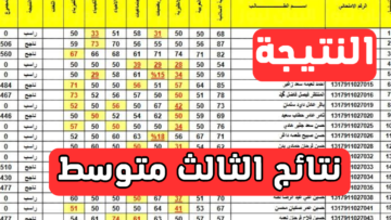 Exclusive..نتائج الثالث المتوسط بالعراق 2024 بواسطة لينك mlazemna لعموم المحافظات