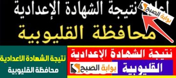 الاستعلام عن نتيجة الشهادة الإعدادية القليوبية 2024 الرابط الرسمي والخطوات مجاناً