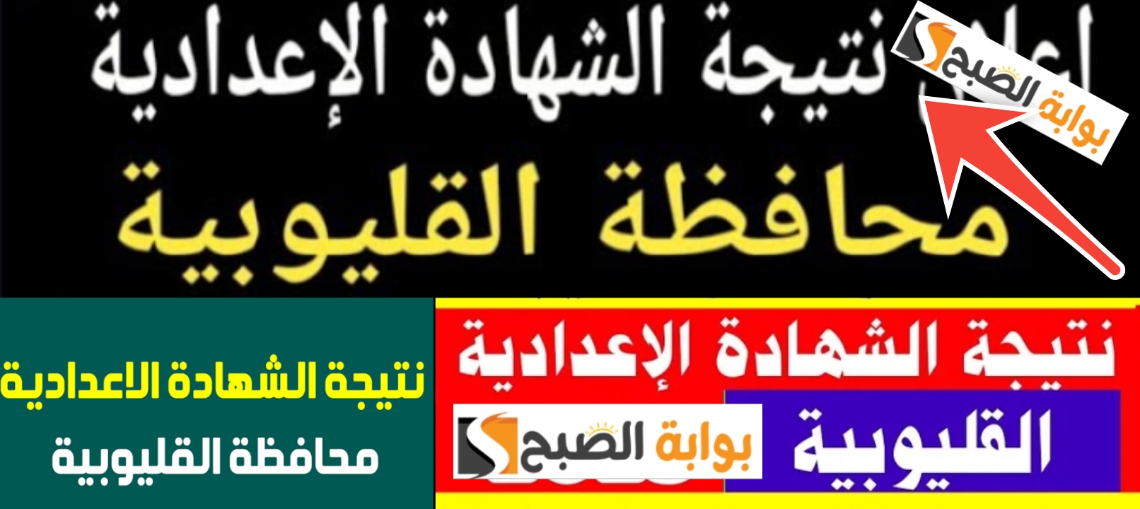 الاستعلام عن نتيجة الشهادة الإعدادية القليوبية 2024 الرابط الرسمي والخطوات مجاناً