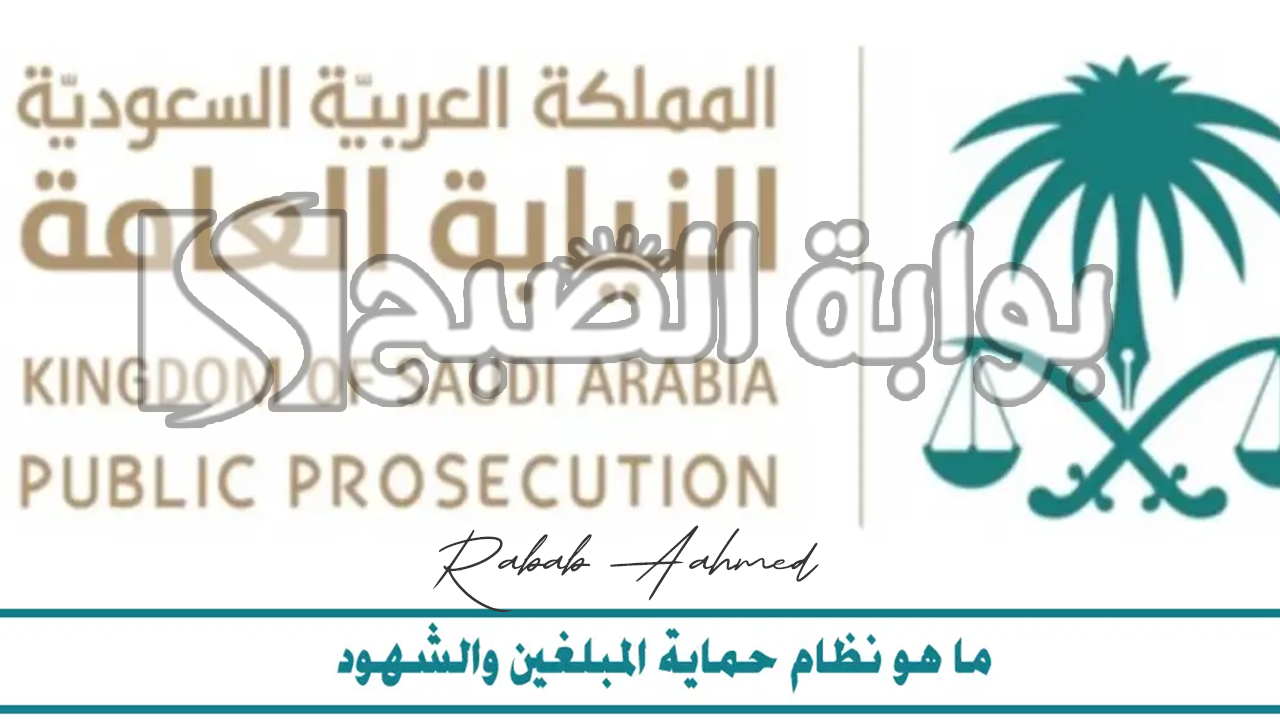 “مجلس الوزراء السعودي” يُعلن عن نظام حماية المبلغين والشهود والخبراء والضحايا