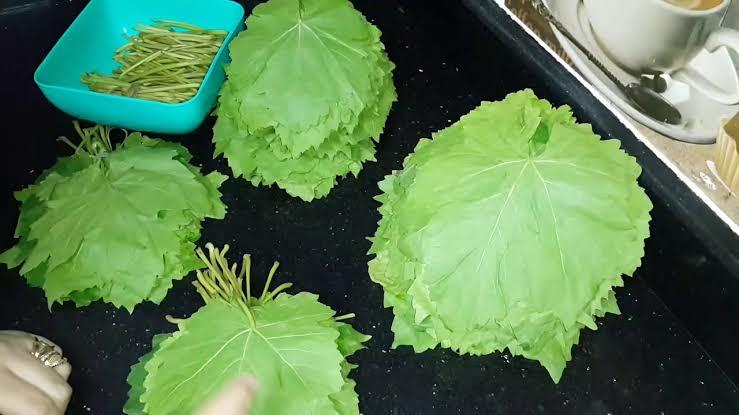 فكرة عبقرية لتخزين ورق العنب في الفريزر من السنة للسنة من غير ما يتغير لونه أو طعمه 5 فكرة عبقرية لتخزين ورق العنب في الفريزر من السنة للسنة من غير ما يتغير لونه أو طعمه