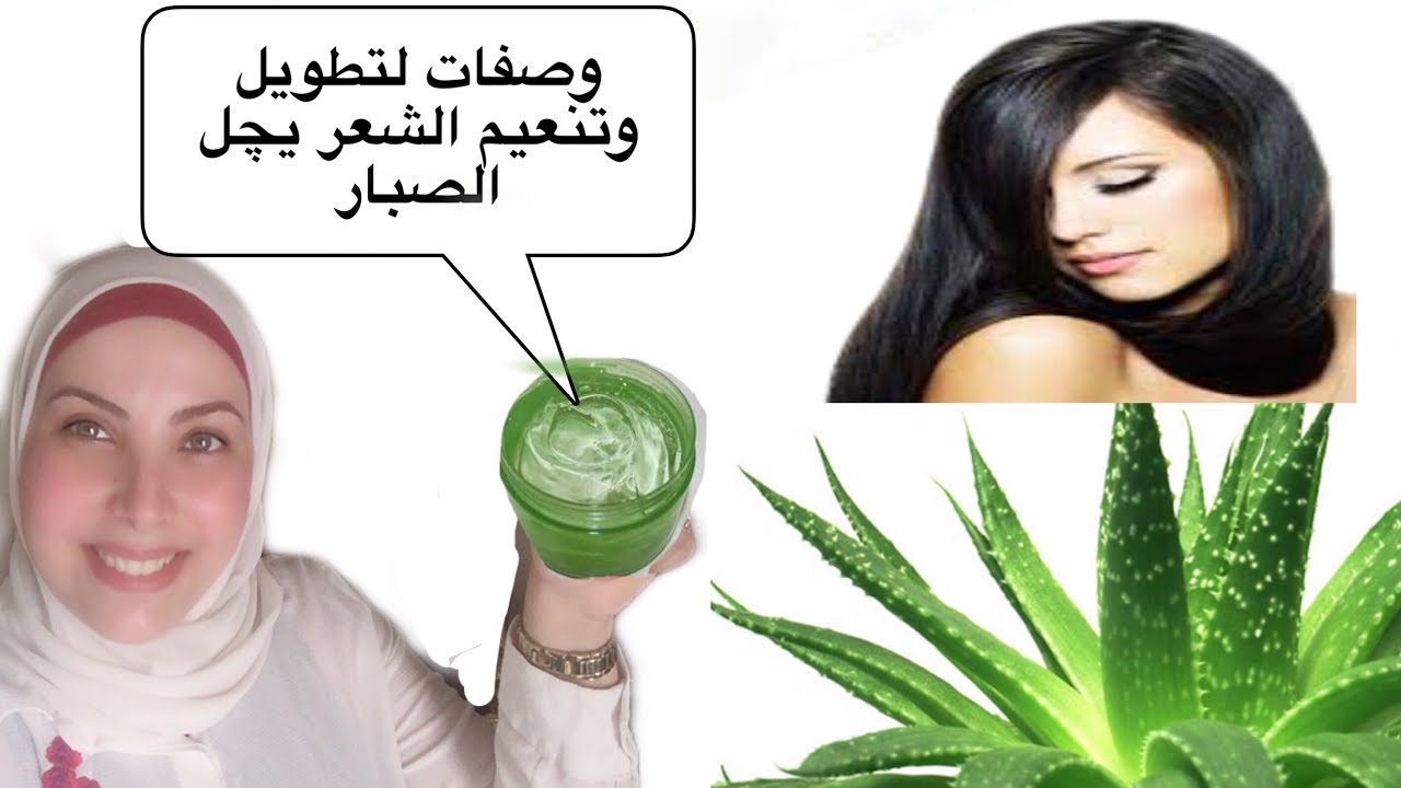 وصفات الصبار والمكونات الطبيعية لفرد وتنعيم الشعر المجعد 5 وصفات الصبار والمكونات الطبيعية لفرد وتنعيم الشعر المجعد