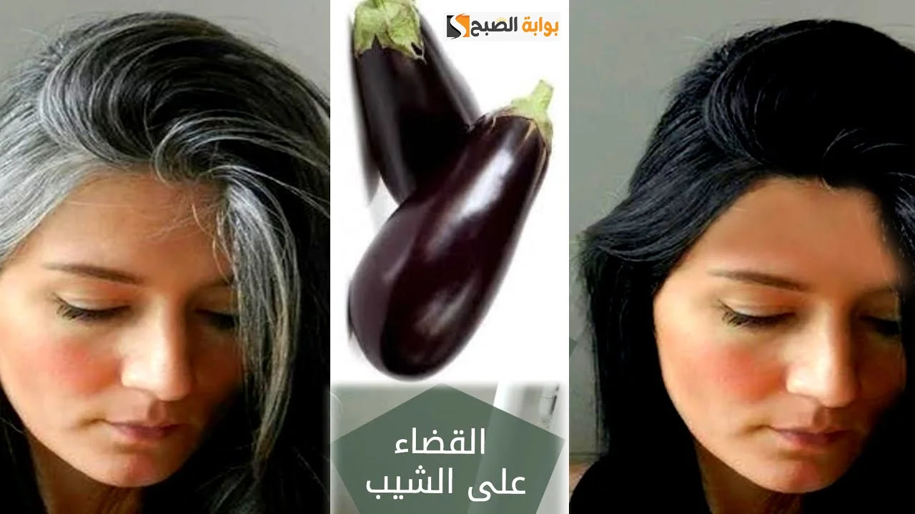 طريقة عمل وصفة الباذنجان للتخلص من الشعر الأبيض وبعدها هتودعي الشيب و توفري فلوس الصبغة