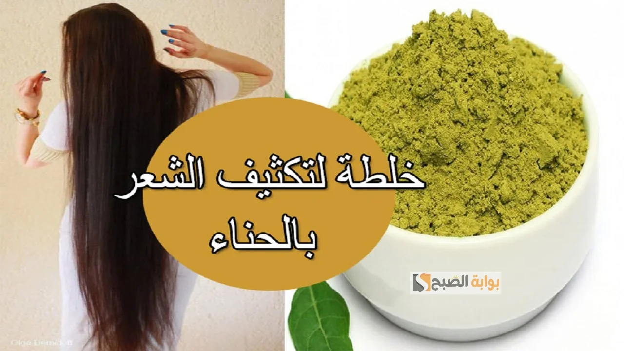 طريقة عمل قناع البيض مع الحنة لتطويل الشعر ومنع التساقط ماسك مخصوص لعشاق التميز جربي لتكوني الأجمل 5 طريقة عمل قناع البيض مع الحنة لتطويل الشعر ومنع التساقط ماسك مخصوص لعشاق التميز جربي لتكوني الأجمل