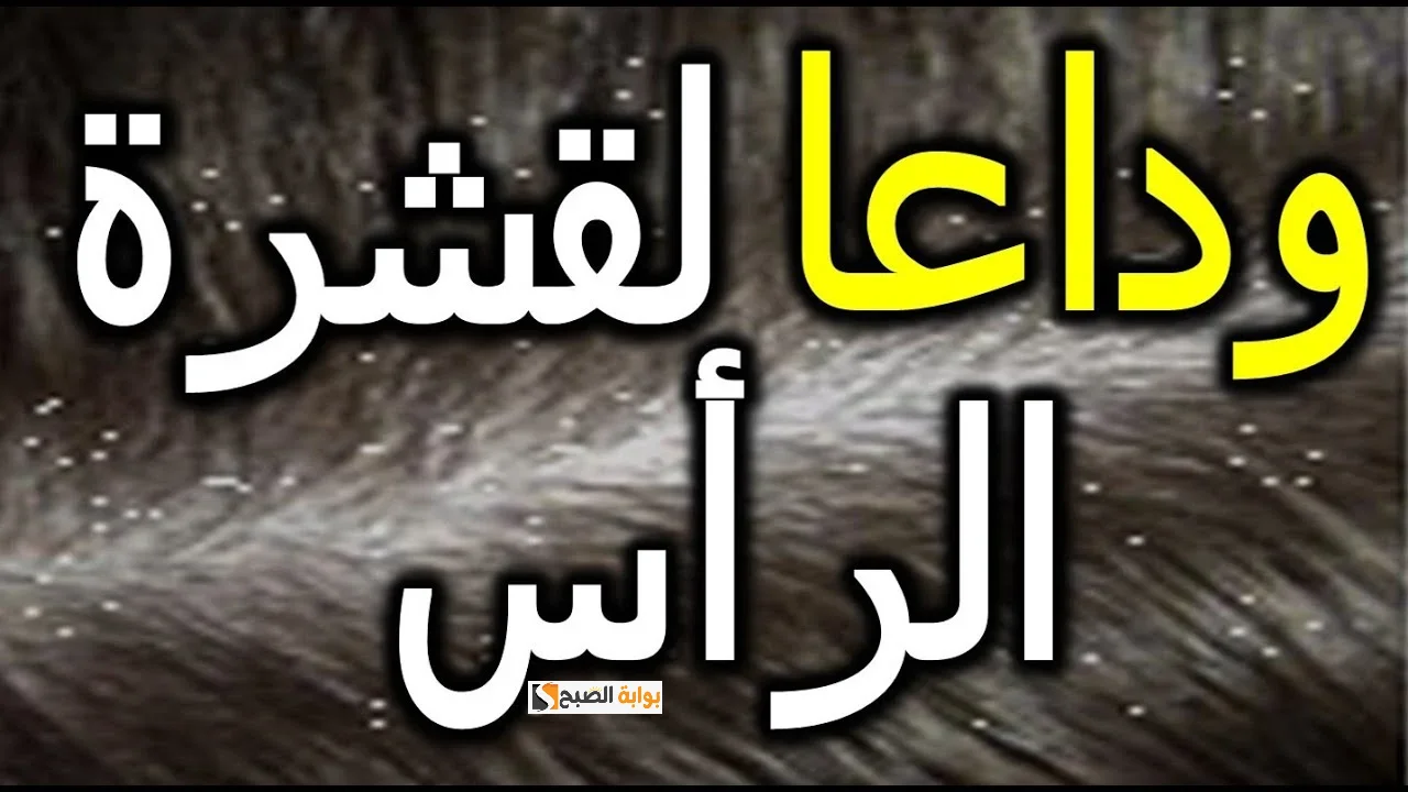 وصفات طبيعيه للتخلص من قشرة الشعر نهائيا بأقل تكلفة ومن مكونات منزلية 5 وصفات طبيعيه للتخلص من قشرة الشعر نهائيا بأقل تكلفة ومن مكونات منزلية