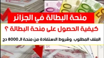 خطوات التعرف على وضعيتي في منحة البطالة 2024 بالجزائر والشروط المطلوبة