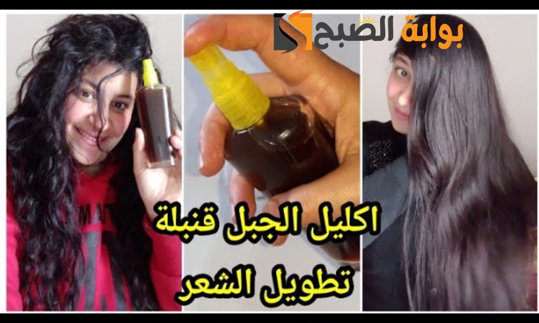 هتستغني عن الباروكات والاكستنشن وصفة سهلة بزيت إكليل الجبل لتطويل الشعر في يومين 5 هتستغني عن الباروكات والاكستنشن وصفة سهلة بزيت إكليل الجبل لتطويل الشعر في يومين