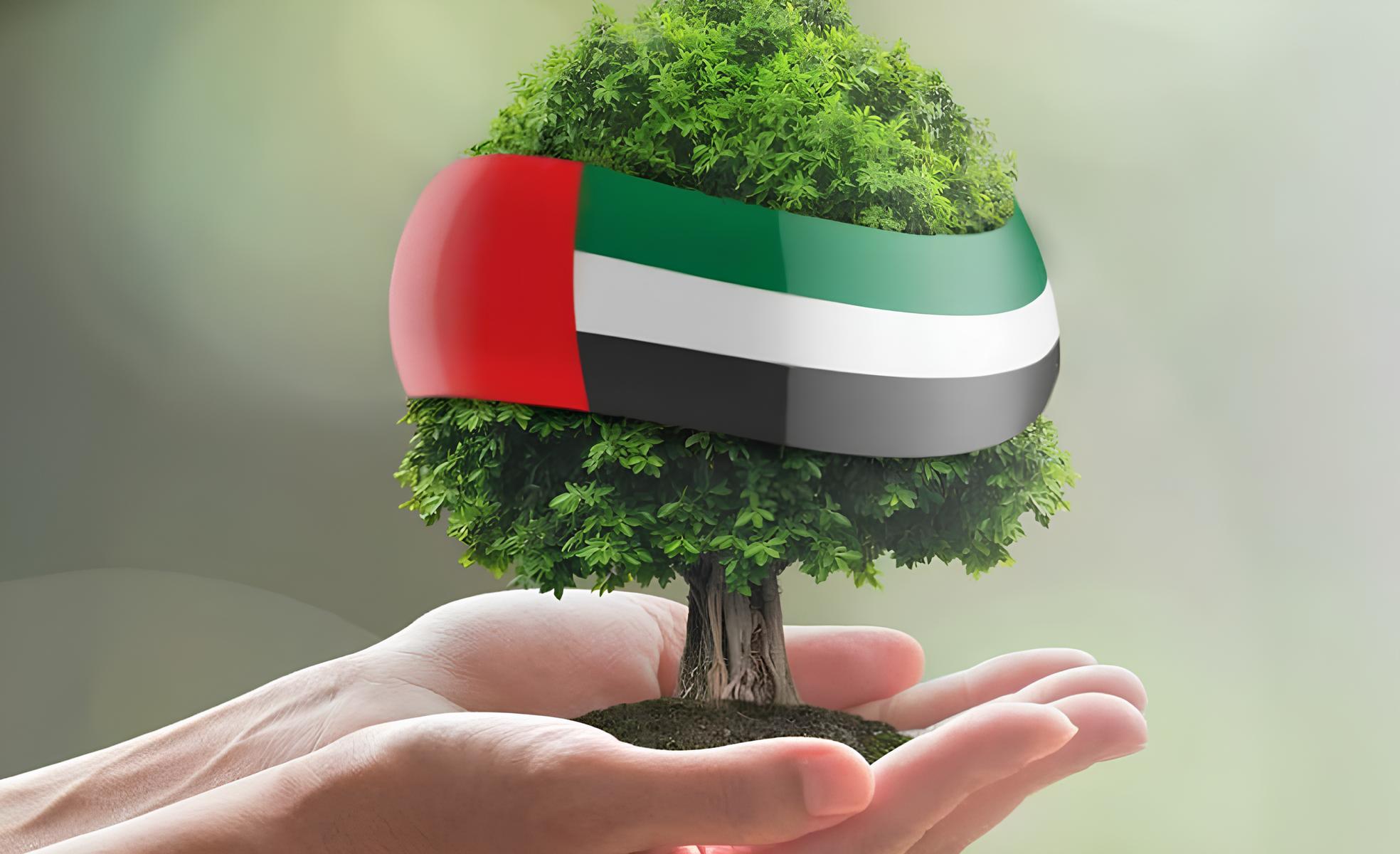 مساعدة مالية في الإمارات للوافدين من الديوان وطريقة التقديم عبر الإنترنت 5 مساعدة مالية في الإمارات للوافدين من الديوان وطريقة التقديم عبر الإنترنت