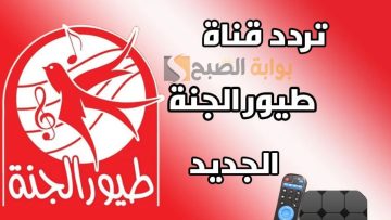 “أفضل برامج تعليمية ومسابقات تفاعلية”.. تردد قناة طيور الجنة على نايل سات وعرب سات