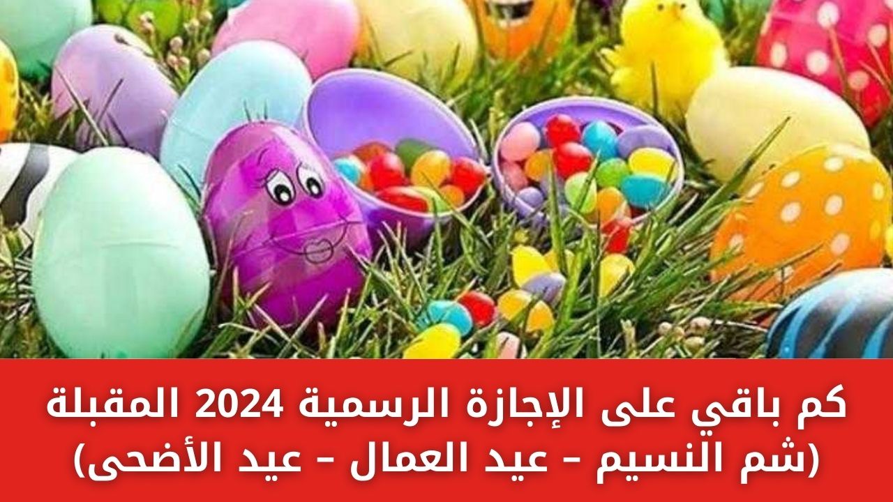 كم باقي على الإجازات الرسمية خلال عام 2024 المقبلة (شم النسيم – عيد العمال – عيد الأضحى) 5 كم باقي على الإجازات الرسمية خلال عام 2024 المقبلة (شم النسيم – عيد العمال – عيد الأضحى)