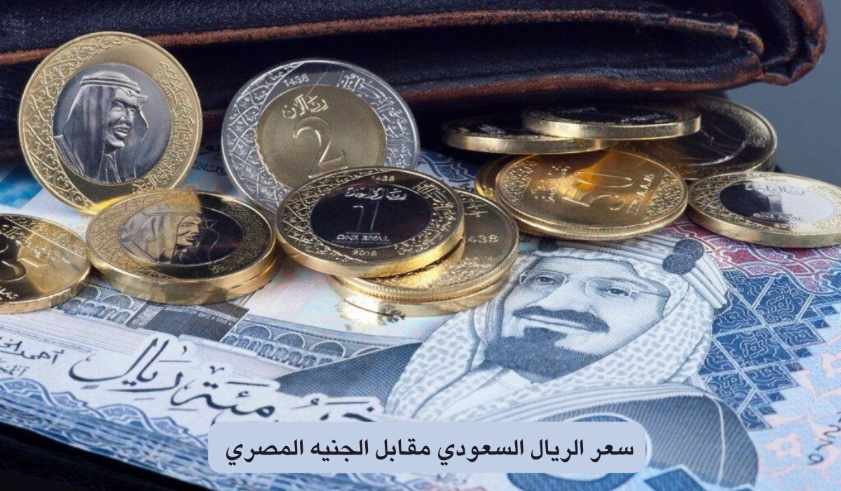 الريال بكام النهارده.. سعر الريال السعودي مقابل الجنيه المصري اليوم الإثنين 13/5/2024 في جميع البنوك المصرية