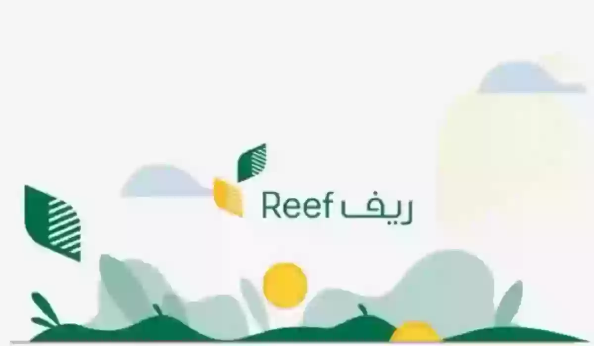 هل سيؤثر دعم ريف على برنامج الضمان المطور وما هي شروط الحصول علي الدعم الريفي؟ 5 هل سيؤثر دعم ريف على برنامج الضمان المطور وما هي شروط الحصول علي الدعم الريفي؟