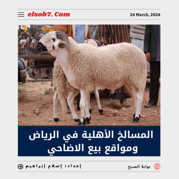 المسالخ الأهلية في الرياض.. ومواقع بيع الأضاحي المؤقتة في العاصمة 2024 – 1445