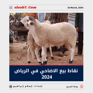 نقاط بيع الاضاحي في الرياض 1445 – 2024 وأماكن المسالخ الأهلية في العاصمة